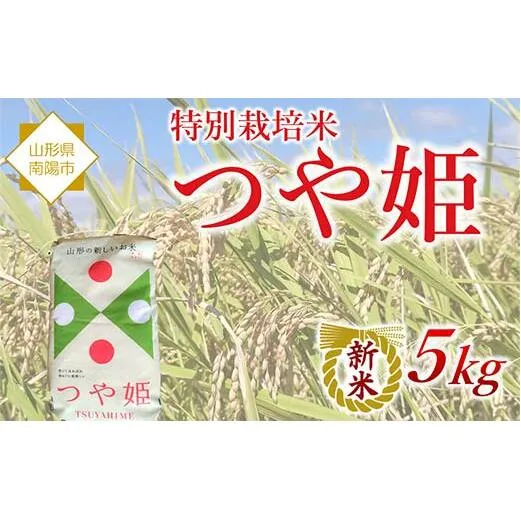 【令和7年産 新米 先行予約】 特別栽培米 つや姫 5kg 《令和7年10月中旬～発送》 『松田観光果樹園』 山形南陽産 米 白米 ご飯 農家直送 山形県 南陽市 [2288-R7]
