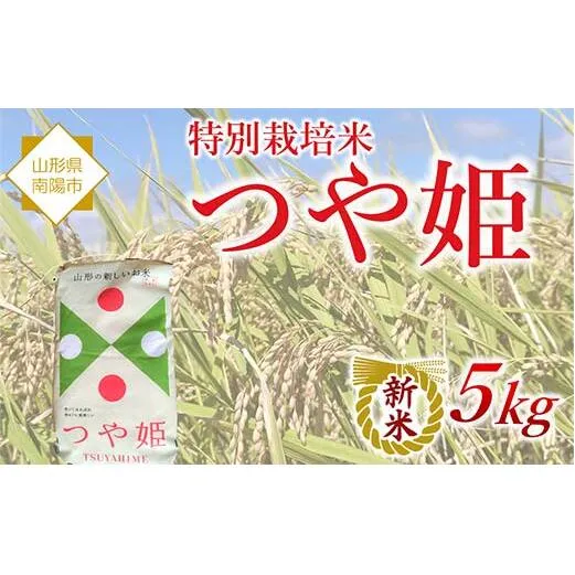 【令和8年産 新米 先行予約】 特別栽培米 つや姫 5kg 《令和8年10月中旬～発送》 『松田観光果樹園』 山形南陽産 米 白米 ご飯 農家直送 山形県 南陽市 [2288-R8]