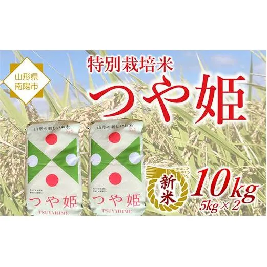 【令和7年産 新米 先行予約】 特別栽培米 つや姫 10kg 《令和7年10月中旬～発送》 『松田観光果樹園』 山形南陽産 米 白米 ご飯 農家直送 山形県 南陽市 [2289-R7]