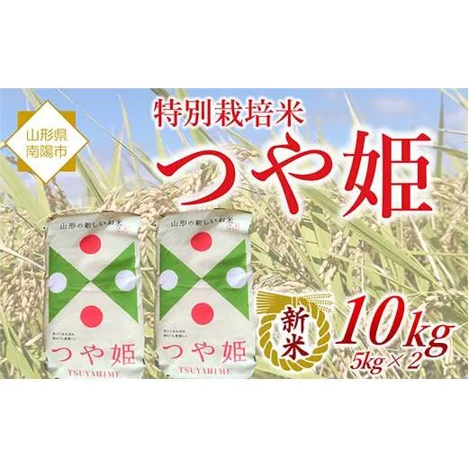 【令和8年産 新米 先行予約】 特別栽培米 つや姫 10kg (5kg×2袋) 《令和8年10月中旬～発送》 『松田観光果樹園』 山形南陽産 米 白米 ご飯 農家直送 山形県 南陽市 [2289-R8]