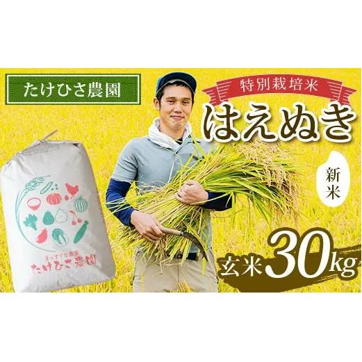 【令和7年産 新米 先行予約】 特別栽培米 はえぬき (玄米) 30kg 《令和7年9月下旬～発送》 『たけひさ農園』 山形南陽産 米 ご飯 農家直送 山形県 南陽市 [2375-R7]