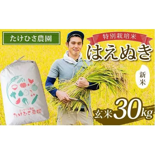 【令和8年産 新米 先行予約】 特別栽培米 はえぬき (玄米) 30kg 《令和8年9月下旬～発送》 『たけひさ農園』 山形南陽産 米 ご飯 農家直送 山形県 南陽市 [2375-R8]