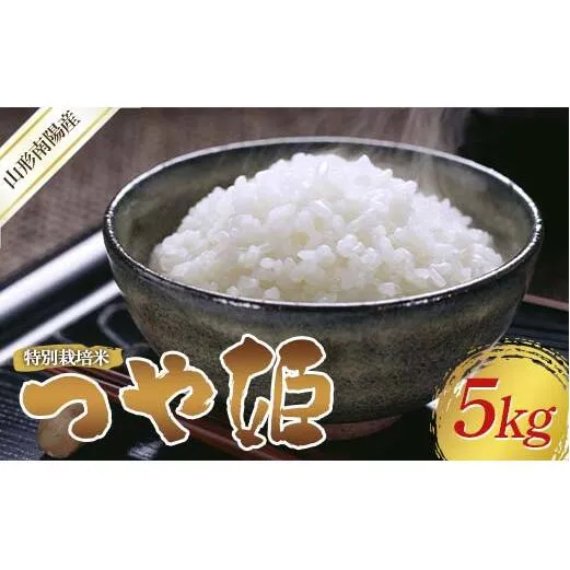 【令和8年産 新米 先行予約】 特別栽培米 つや姫 (精米) 5kg 《令和8年10月中旬～発送》 『フナヤマ農園』 山形南陽産 米 白米 ご飯 農家直送 山形県 南陽市 [2394-R8]