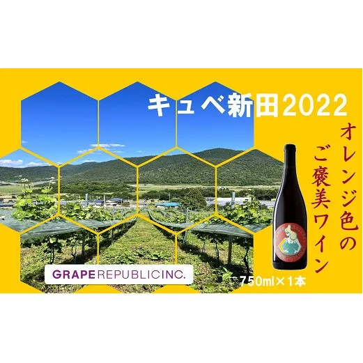 【数量限定】 オレンジワイン「キュベ新田2022」 750ml × 1本 『(株)グレープリパブリック』 山形県 南陽市 [2361]
