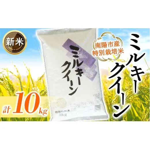 【令和7年産 新米 先行予約】 【金賞受賞農家】 特別栽培米 ミルキークイーン 計10kg (5kg×2袋) 《令和7年10月上旬～発送》 『あおきライスファーム』 [2409-R7]
