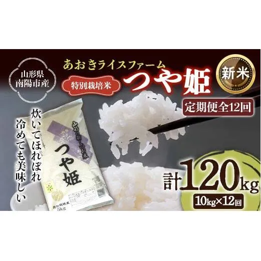 【令和7年産 新米 先行予約】 【金賞受賞農家】 《定期便12回》 特別栽培米 つや姫 計10kg(5kg×2袋)×12か月 《令和7年10月上旬～発送》 『あおきライスファーム』 [2415-R7]