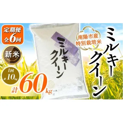 【令和7年産 新米 先行予約】【金賞受賞農家】《定期便6回》特別栽培米 ミルキークイーン 計10kg(5kg×2袋)×6か月 《令和7年10月上旬～発送》 『あおきライスファーム』 [2416-R7]