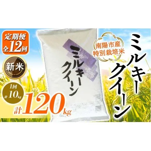 【令和7年産 新米 先行予約】【金賞受賞農家】《定期便12回》特別栽培米 ミルキークイーン 計10kg(5kg×2袋)×12か月 《令和7年10月上旬～発送》『あおきライスファーム』[2417-R7]