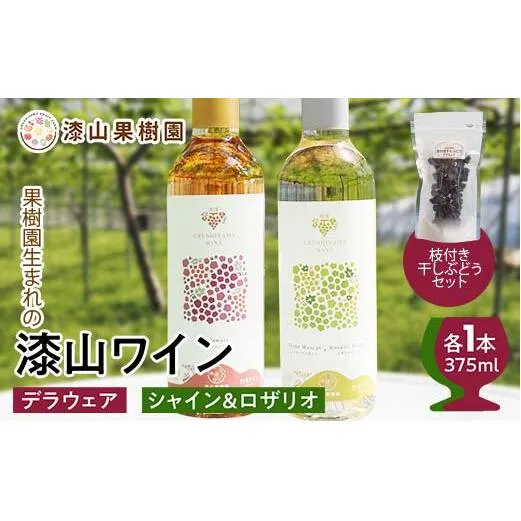 果樹園生まれの 漆山果樹園ワイン 「 漆山ワイン (デラウェア) + 漆山ワイン (シャイン＆ロザリオ) + 枝付き干しぶどう セット 」 『漆山果樹園』 山形県 南陽市 [2279]
