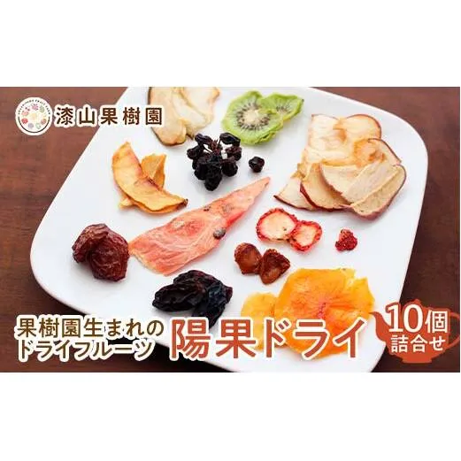 果樹園生まれの ドライフルーツ 「陽果ドライ」 10個詰合せ (枝付き干しぶどう入り) 『漆山果樹園』 デラウェア シャインマスカット 山形県 南陽市 [2419]