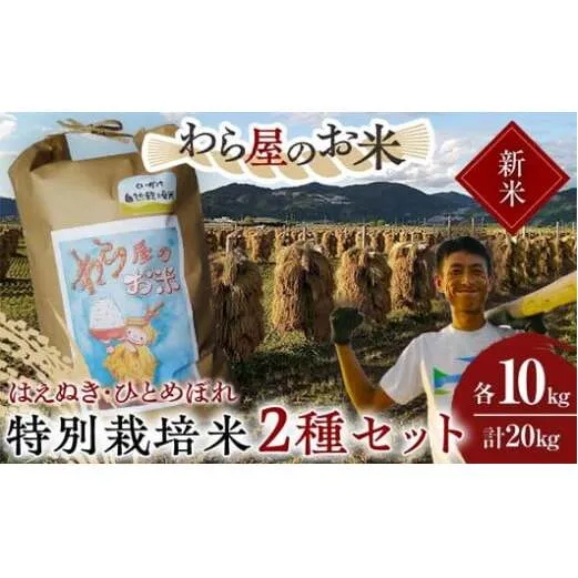 【令和7年産 新米 先行予約】 【わら屋のお米】 特別栽培米2種セット 「はえぬき・ひとめぼれ」 各10kg (計20kg) 《令和7年10月下旬～発送》 『おがわ藁農園』 [2169-R7]