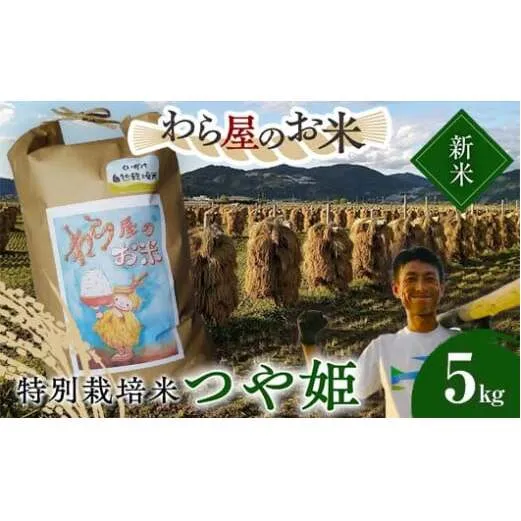 【令和7年産 新米 先行予約】 【わら屋のお米】 特別栽培米 つや姫 5kg 《令和7年10月下旬～発送》 『おがわ藁農園』 米 白米 精米 ご飯 農家直送 山形県 南陽市 [2167-R7]