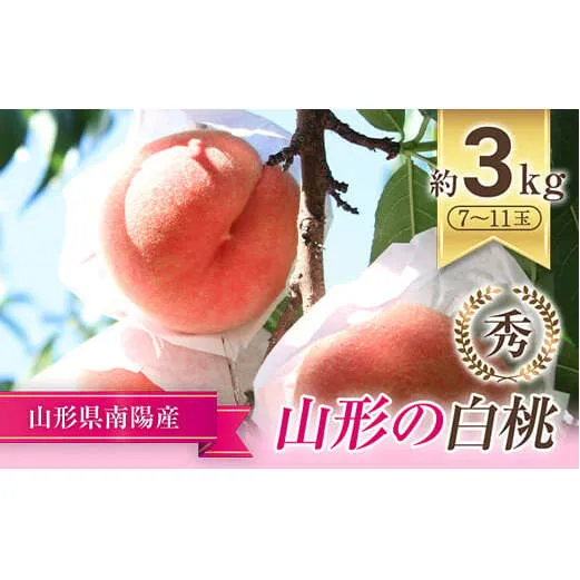 【令和8年産先行予約】 もも「川中島・あかつき・まどか 等」 約3kg (7～11玉) 《令和8年7月下旬～発送》 『生産者 佐藤 勇二』 桃 モモ 果物 フルーツ 山形県 南陽市 [591-R8]
