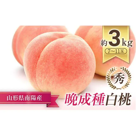 【令和8年産先行予約】 晩成のもも「あぶくま・だて白桃・西王母 等」約3kg (7～11玉) 《令和8年8月下旬～発送》 『生産者 佐藤 勇二』 桃 モモ 果物 フルーツ 産地直送 生産農家直送 山形県 南陽市 [967-R8]