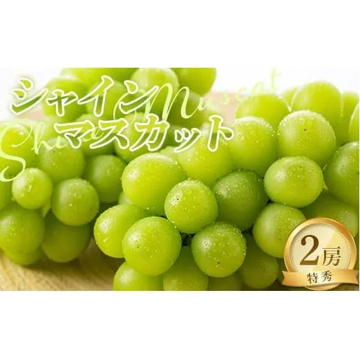 【令和8年産先行予約】 シャインマスカット 約1kg以上 (2房入り 特秀) 《令和8年9月上旬～発送》 『NOWAフルーツ』 山形南陽産 山形県 南陽市 [2064-R8]
