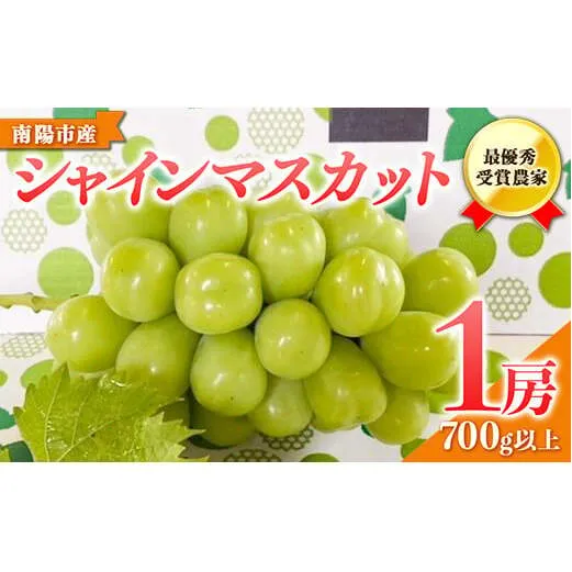 【令和8年産先行予約】 【山形県ぶどう品評会 最優秀賞受賞農家】 シャインマスカット 700g以上 (1房 秀以上) 《令和8年9月中旬～発送》 『青木農園』 山形県 南陽市 [634-R8]