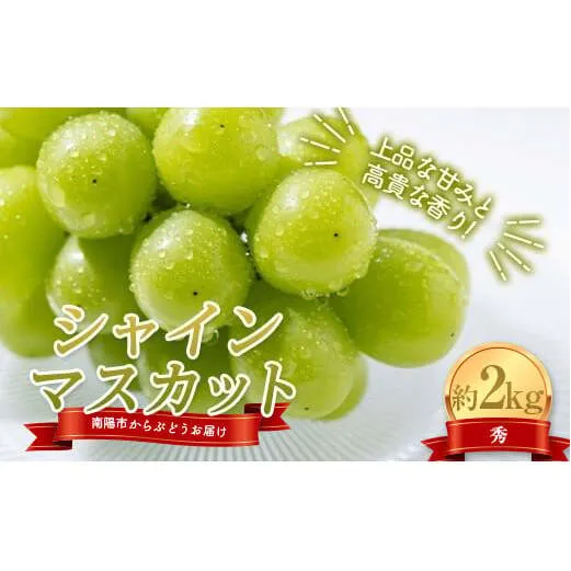【令和8年産先行予約】 シャインマスカット 約2kg (3～4房 秀) 《令和8年10月上旬～発送》 『紺野農園』 山形県 南陽市 [1913-R8]