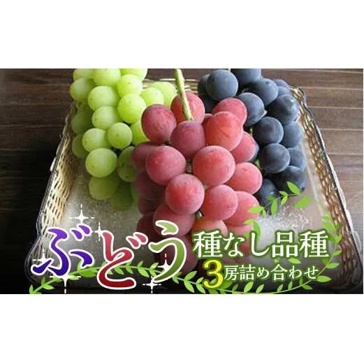 【令和8年産先行予約】 高級ぶどう 種なし品種 3房詰合せ 《令和8年9月中旬～発送》 『漆山果樹園』 葡萄 ぶどう ブドウ 種なし 新鮮 果物 フルーツ デザート 山形県 南陽市 [1520-R8]