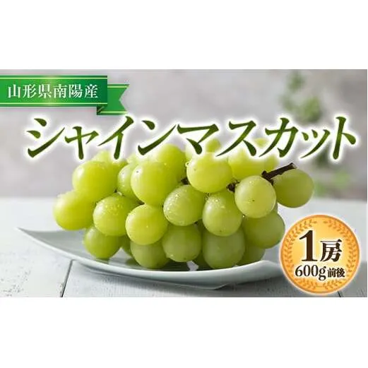 【令和8年産先行予約】 シャインマスカット 600g前後 (1房) 《令和8年9月中旬～発送》 『漆山果樹園』山形県 南陽市 [811-R8]