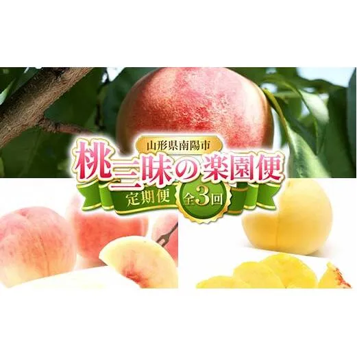 【令和8年産先行予約】 《定期便3回》 桃三昧の楽園便 『フードシステムズ』 もも モモ 果物 フルーツ 山形県 南陽市 [2257-R8]