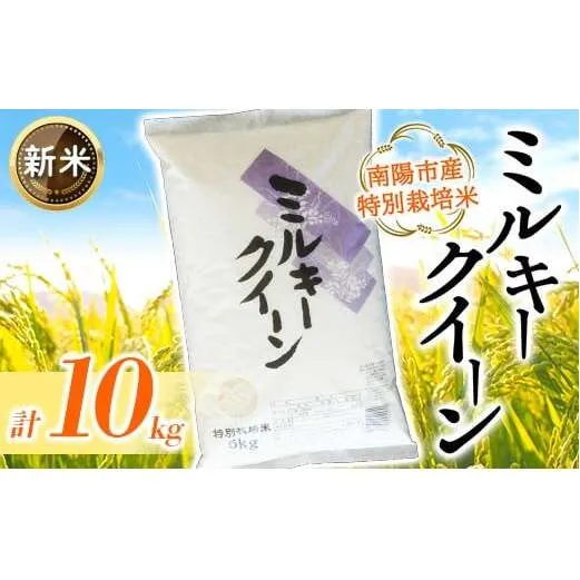 【令和7年産 新米 先行予約】 【金賞受賞農家】 特別栽培米 ミルキークイーン 計10kg (5kg×2袋) 《令和7年11月上旬～発送》 『あおきライスファーム』 [2409-AR7]