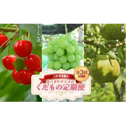 【令和8年産先行予約】 《定期便3回》 食べきりサイズの くだもの定期便 『南陽中央青果市場』 さくらんぼ シャインマスカット ラ・フランス 果物 フルーツ 山形県 南陽市 [1745-R8]