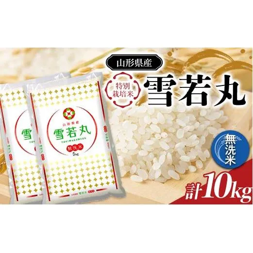 【令和7年産】 JA 無洗米 雪若丸 10kg (5kg×2袋) 『JA山形おきたま』 山形県産 米 精米 山形県 南陽市 [2596]