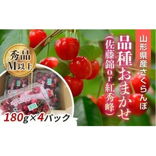 【令和8年産先行予約】 さくらんぼ 「佐藤錦または紅秀峰」 720g (180g×4パック 秀 M以上) 《令和8年6月中旬～発送》 『南陽中央青果市場』  山形県 南陽市 [2583]