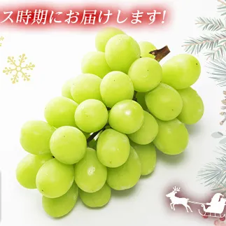 【令和7年産先行予約】 クリスマス シャインマスカット 750g以上 (1房 秀) 《令和7年12月19日～発送》 『フナヤマ農園』 山形県 南陽市 [1112]