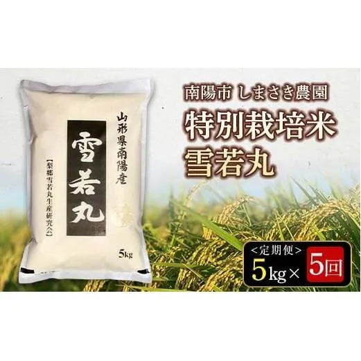 【米食味コンクール金賞受賞農園】 《定期便5回》 令和7年産 特別栽培米 雪若丸 5kg×5か月 《令和8年3月～7月毎月発送》 『しまさき農園』 山形県 南陽市 [2602]