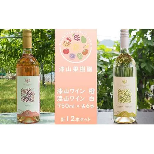 果樹園生まれの 漆山果樹園ワイン 「漆山ワイン (デラウェア)」 「漆山ワイン (シャインマスカット×ロザリオビアンコ)」 750ml 各6本 計12本セット 『漆山果樹園』 オレンジワイン 白ワイン 山形県 南陽市 [2615]