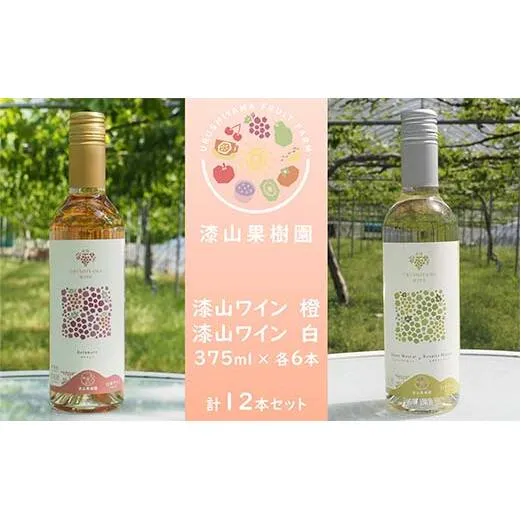 果樹園生まれの 漆山果樹園ワイン 「漆山ワイン (デラウェア)」 「漆山ワイン (シャインマスカット×ロザリオビアンコ)」 375ml 各6本 計12本セット 『漆山果樹園』 オレンジワイン 白ワイン 山形県 南陽市 [2616]