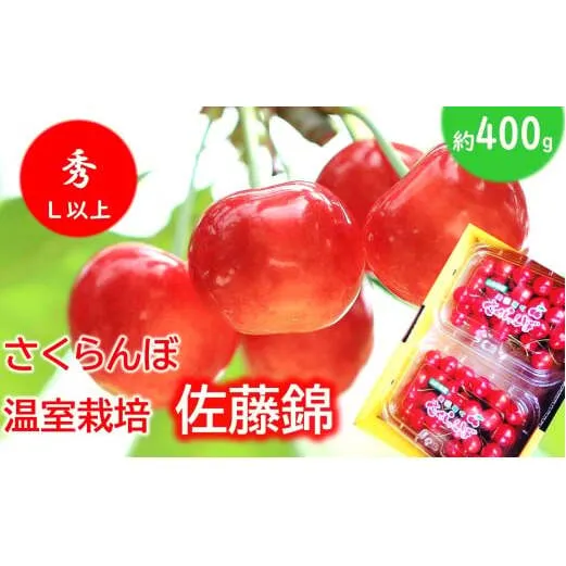 【令和8年産先行予約】 温室さくらんぼ 「佐藤錦」 約400g (秀 L以上) フードパック詰め 《令和8年5月下旬～発送》 『松田観光果樹園』 サクランボ 生産農家直送 温室栽培 果物 フルーツ デザート 先行予約 山形県 南陽市 [2618]