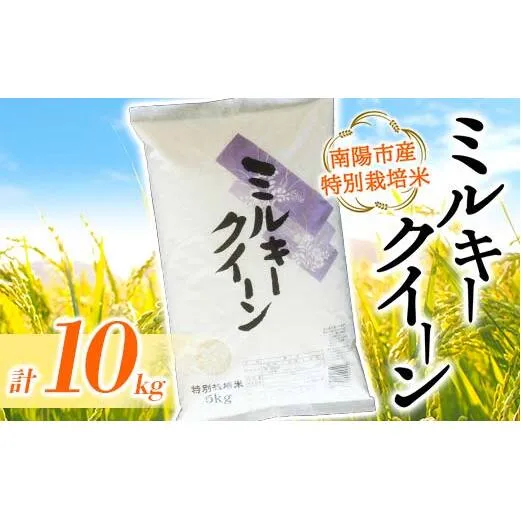 【金賞受賞農家】 令和7年産 特別栽培米 ミルキークイーン 計10kg (5kg×2袋) 『あおきライスファーム』 山形南陽産 米 白米 精米 ご飯 農家直送 山形県 南陽市 [2409]