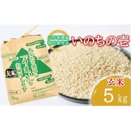 【金賞受賞農家】 令和7年産 特別栽培米 いのちの壱 (玄米) 5kg 『あおきライスファーム』 山形南陽産 米 ご飯 農家直送 山形県 南陽市 [2639]