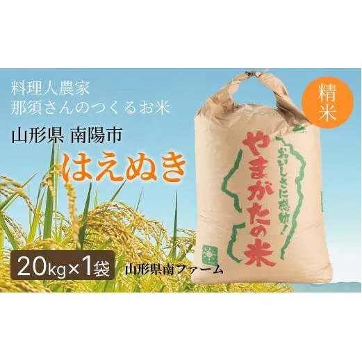令和7年産 はえぬき (精米) 20kg×1袋 『山形県南ファーム』 米 白米 ご飯 農家直送 山形県 南陽市 [2565]