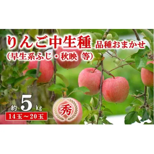 【令和8年産先行予約】 JA 中生種りんご 「早生系ふじ (涼香の季節・昴林)・秋陽・秋映 等」 約5kg (14～20玉 秀) 《令和8年9月下旬～10月中旬発送》 『JA山形おきたま』[2655]