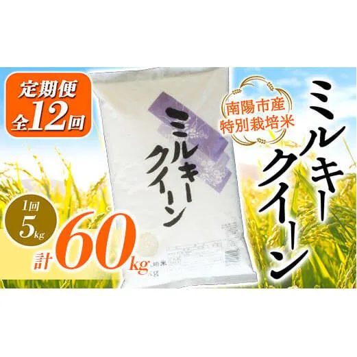 【金賞受賞農家】 《定期便12回》 令和7年産 特別栽培米 ミルキークイーン 5kg×12か月 『あおきライスファーム』 山形南陽産 米 白米 精米 ご飯 農家直送 山形県 南陽市 [1615]