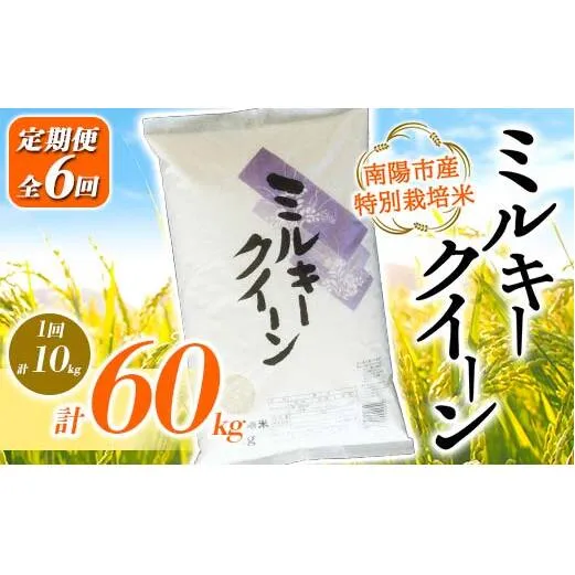 【金賞受賞農家】 《定期便6回》 令和7年産 特別栽培米 ミルキークイーン 計10kg(5kg×2袋)×6か月 『あおきライスファーム』 山形南陽産 精米 ご飯 農家直送 山形県 南陽市 [2416]