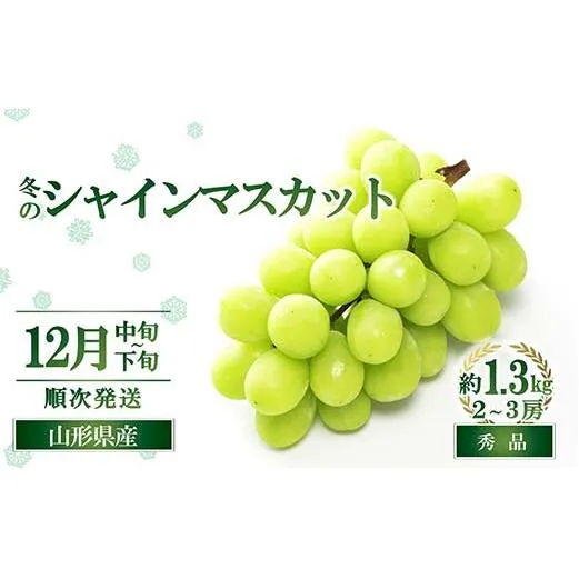 【令和8年産先行予約】 JA 冬のシャインマスカット 約1.3kg (2～3房 秀) 《令和8年12月中旬～下旬発送》 『JA山形おきたま』 マスカット ぶどう 山形県 南陽市 [2055-R8]