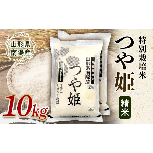 【米食味コンクール金賞受賞農園】 令和7年産 特別栽培米 つや姫 10kg (5kg×2袋) 『しまさき農園』 山形南陽産 米 白米 精米 ご飯 農家直送 山形県 南陽市 [2660]