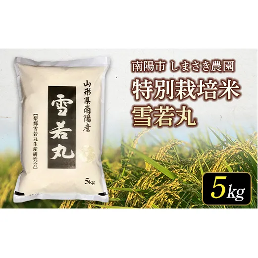 【米食味コンクール金賞受賞農園】令和7年産 特別栽培米 雪若丸 5kg 『しまさき農園』 山形南陽産 米 白米 精米 ご飯 農家直送 山形県 南陽市 [2555]