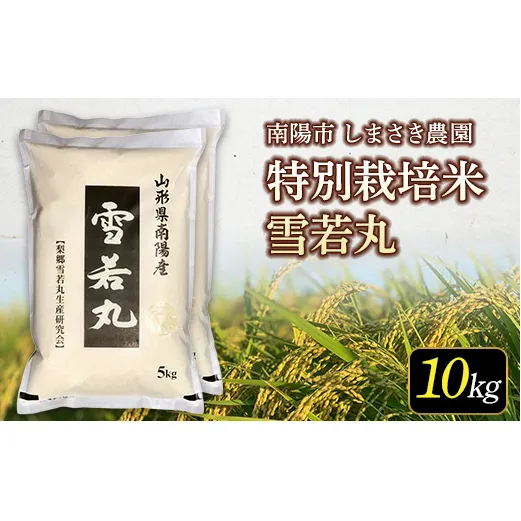 【米食味コンクール金賞受賞農園】令和7年産 特別栽培米 雪若丸 10kg (5kg×2袋) 『しまさき農園』 山形南陽産 米 白米 精米 ご飯 農家直送 山形県 南陽市 [2661]
