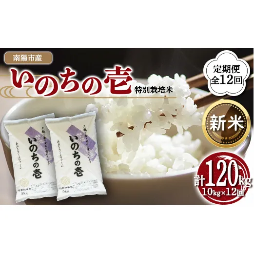 【令和8年産 新米 先行予約】【金賞受賞農家】 《定期便12回》 特別栽培米 いのちの壱 計10kg(5kg×2袋)×12か月 《令和8年10月中旬～発送》 『あおきライスファーム』[2670-R8]