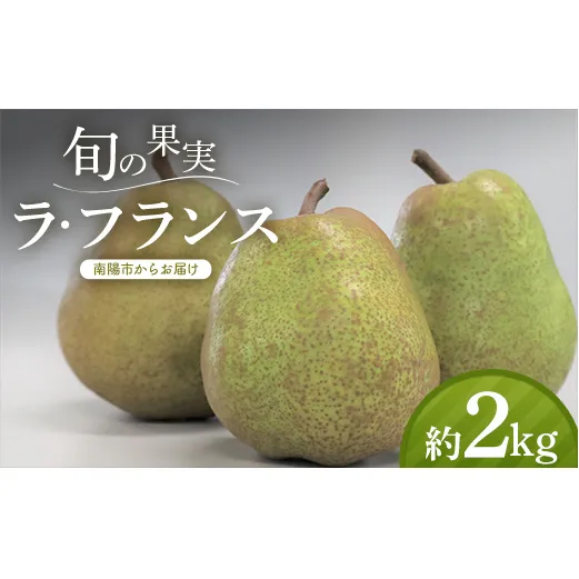 【令和8年産先行予約】 十三代目 佐藤市右衛門 ラ・フランス 約2kg (6～8玉 秀 2～4L) 《令和8年11月上旬～発送》 『旬の果実 佐藤市右衛門農園』 ラフランス 西洋梨 洋なし 果物 フルーツ デザート 山形県 南陽市 [1967]
