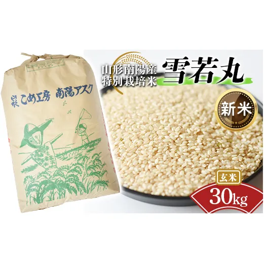 【令和8年産 新米 先行予約】 【金賞受賞農家】 特別栽培米 雪若丸 （玄米） 30kg 《令和8年9月下旬～発送》 『あおきライスファーム』 山形南陽産 米 ご飯 農家直送 山形県 南陽市 [2601-R8]