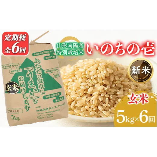 【令和8年産 新米 先行予約】 【金賞受賞農家】 《定期便6回》 特別栽培米 いのちの壱 (玄米) 5kg×6か月 《令和8年10月中旬～発送》 『あおきライスファーム』 山形南陽産 米 ご飯 農家直送 山形県 南陽市 [2641-R8]