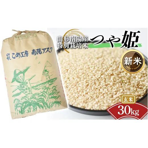 【令和8年産 新米 先行予約】 【金賞受賞農家】 特別栽培米 つや姫（玄米）30kg 《令和8年9月下旬～発送》 『あおきライスファーム』 山形南陽産 米 ご飯 農家直送 山形県 南陽市 [2425-R8]