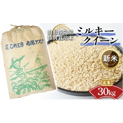 【令和8年産 新米 先行予約】 【金賞受賞農家】 特別栽培米 ミルキークイーン（玄米）30kg 《令和8年9月下旬～発送》 『あおきライスファーム』 山形南陽産 米 ご飯 農家直送 山形県 南陽市 [2424-R8]