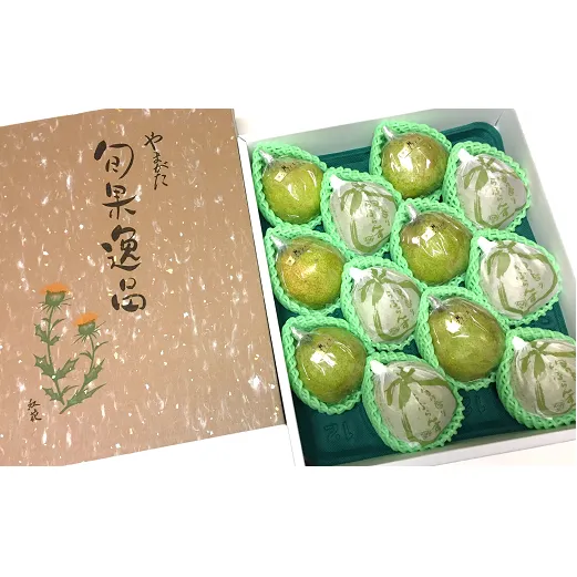 【令和8年産先行予約】 【市農業祭最優秀賞受賞者】 ラ・フランス 約5kg (8～12玉 特選 5～6L) 《令和8年11月上旬～発送》 『長谷部農園』 洋梨 梨 果物 フルーツ 山形県 南陽市 [1098]